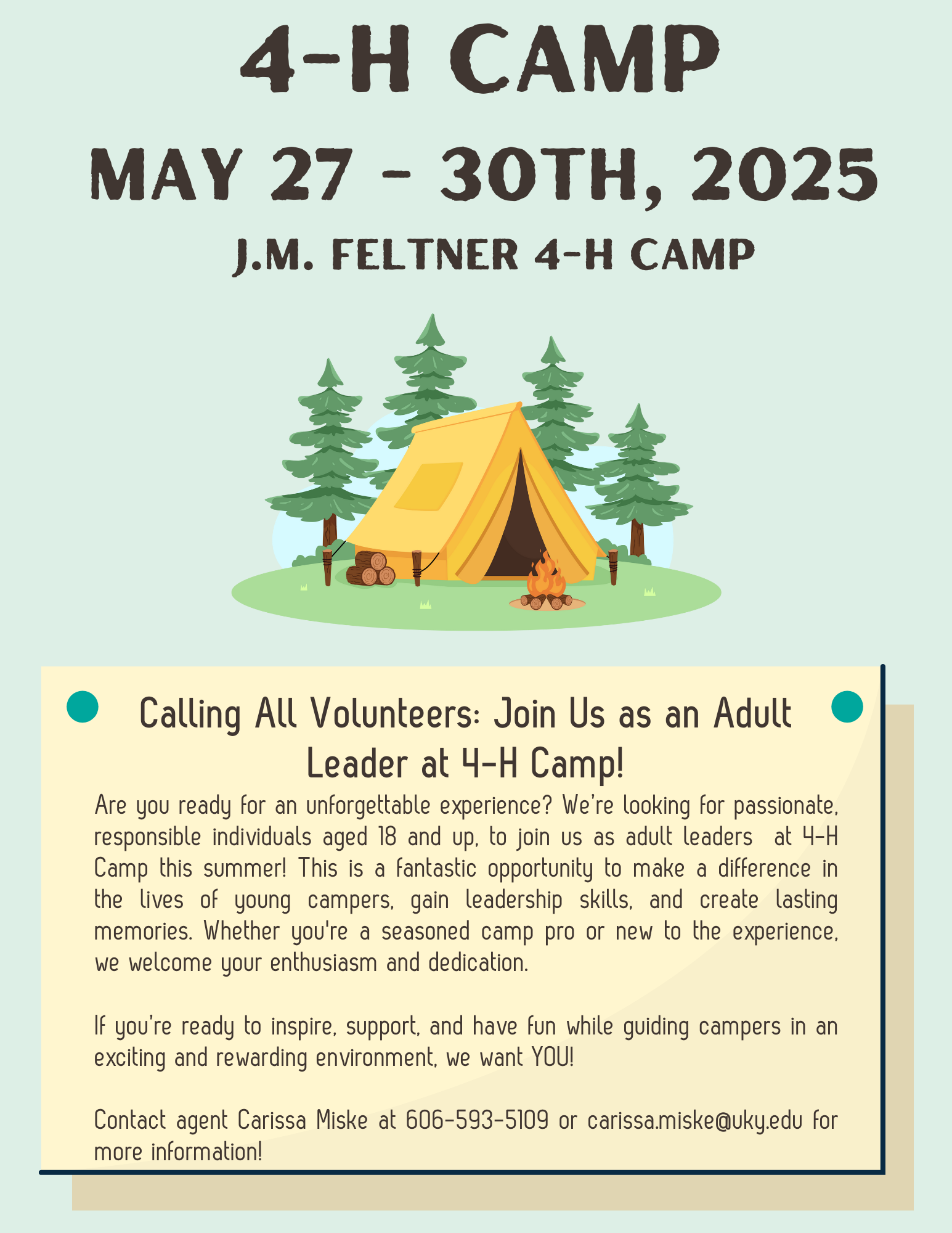 4-H Camp Volunteers needed flyer