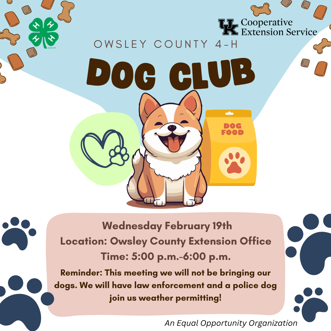 Flyer for 4-H Dog Club meeting