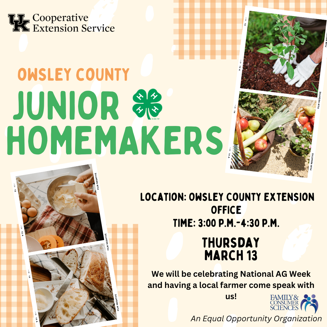 Flyer for Junior Homemaker upcoming dates flyer